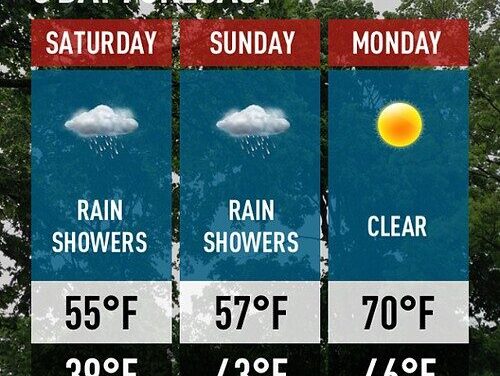 The Toolbox of the Future: Why AI Won’t Replace Your Local Weatherman