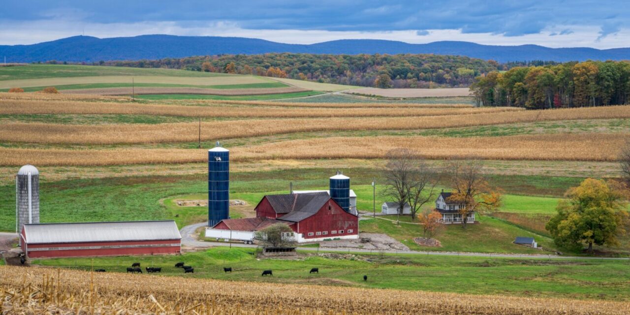 Cultivating Trust: Meet the Farmers Behind the FCCB AG Banking Team
