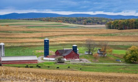 Cultivating Trust: Meet the Farmers Behind the FCCB AG Banking Team